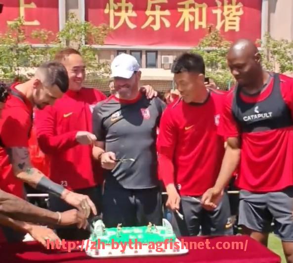 AG捕鱼王官网-德甲身价最高的球队排名及球员身价解析