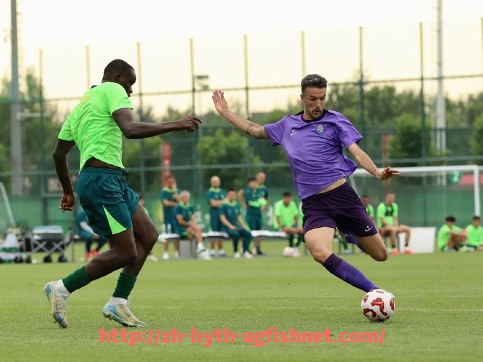 AG捕鱼王官网-意甲赛季参赛的球队数量变化与影响分析