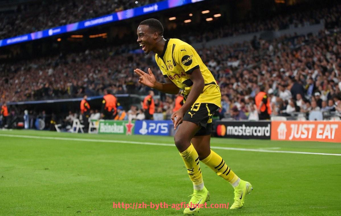 AG捕鱼王官网-意甲赛季参赛的球队数量变化与影响分析