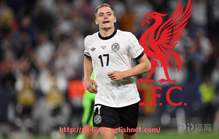 AG捕鱼王官网-法甲球员个人荣誉统计及其对职业生涯和球队价值的提升