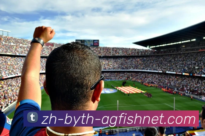 最新赛季德甲球队在欧战中的表现综述